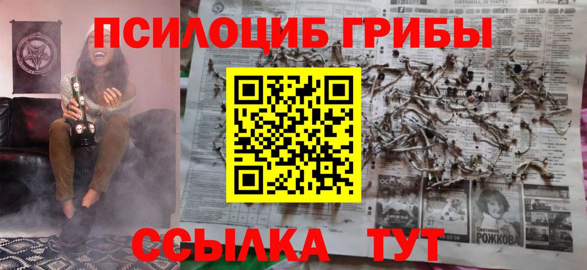 Галлюциногенные грибы Psilocybe Ангарск