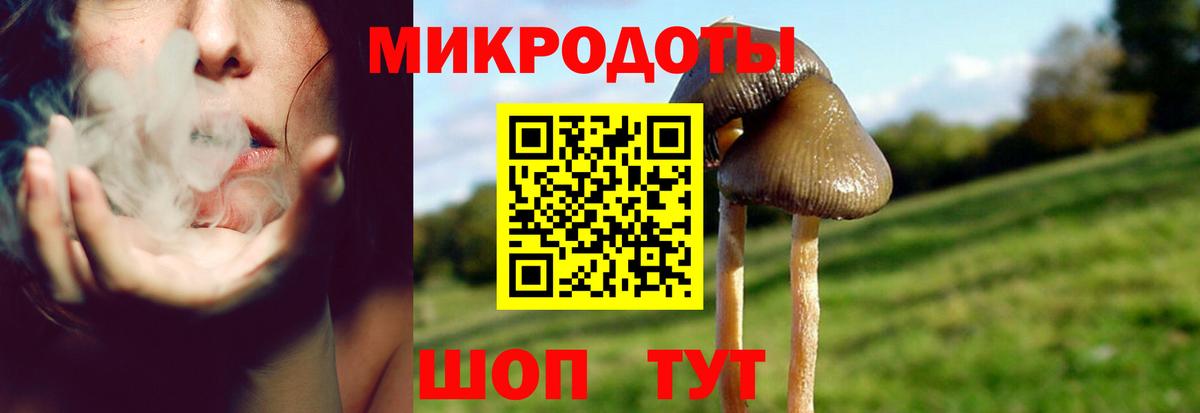 Ангарск  Галлюциногенные грибы мицелий  где купить наркоту  Вход с VPN  Псилоцибиновые грибы мухоморы 